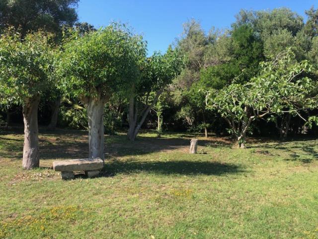 Civico 34 House 6 - Suite 2 Livelli Stintino Luaran gambar